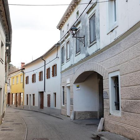 Oliver Street Apartment Vipava Buitenkant foto